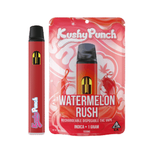 Watermelon Rush Disposable 1g